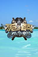 Law of the Jungle in Caribbean/Maya Jungle