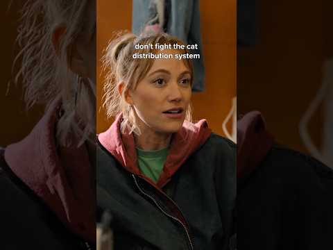 don't question the cat distribution system