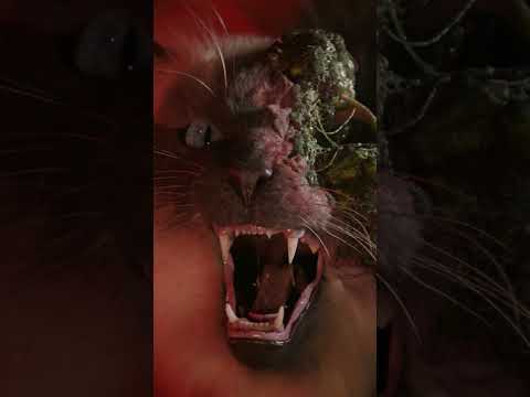 🙀🙀🙀 Cold Storage is in US and UK theaters NOW